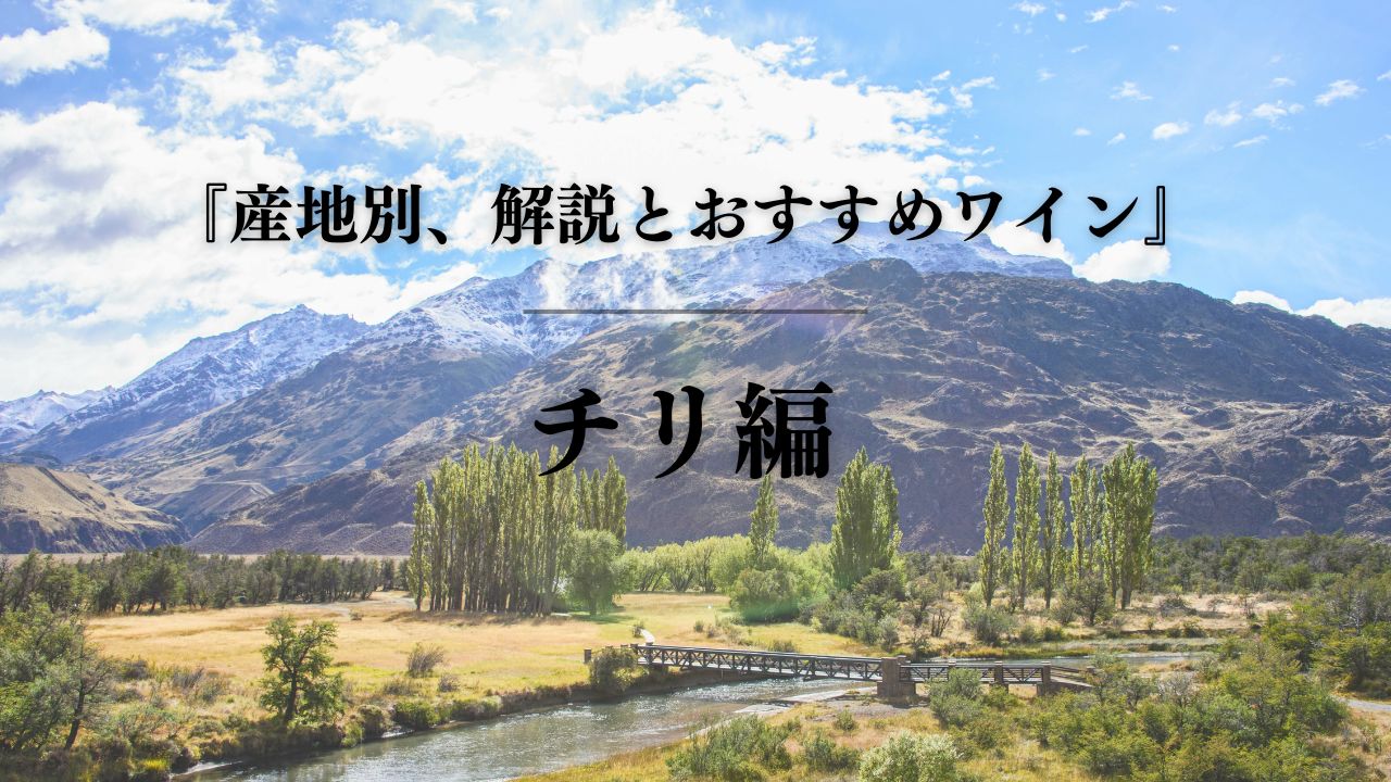 【ソムメモ】『産地別、解説とおすすめワイン』　チリ編